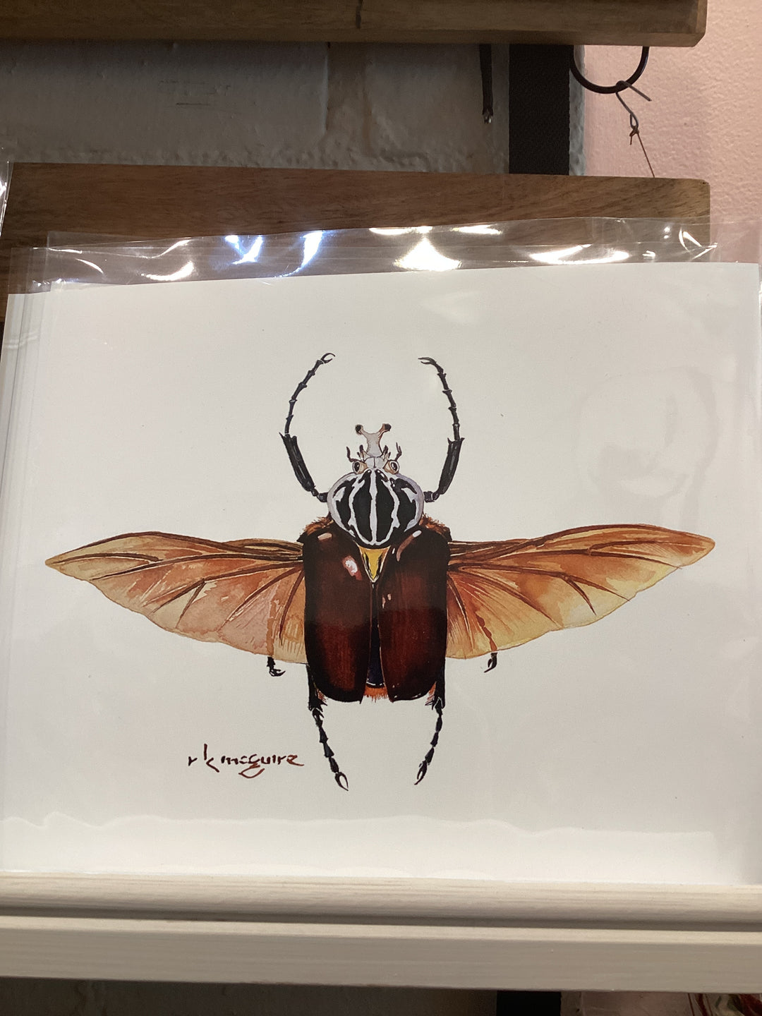 Keith McGuire Insect Prints (Large)