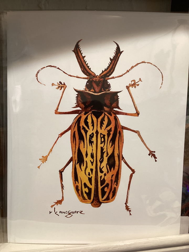 Keith McGuire Insect Prints (Large)