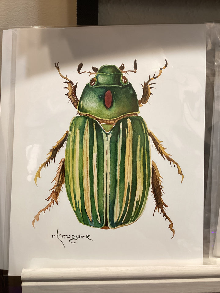 Keith McGuire Insect Prints (Large)