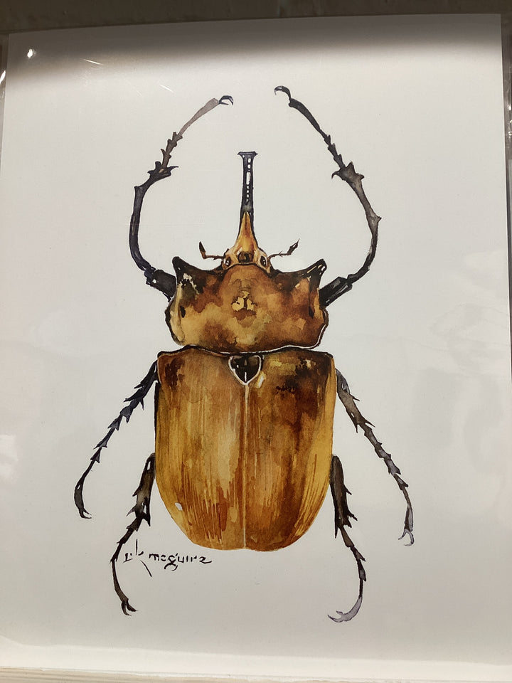 Keith McGuire Insect Prints (Large)