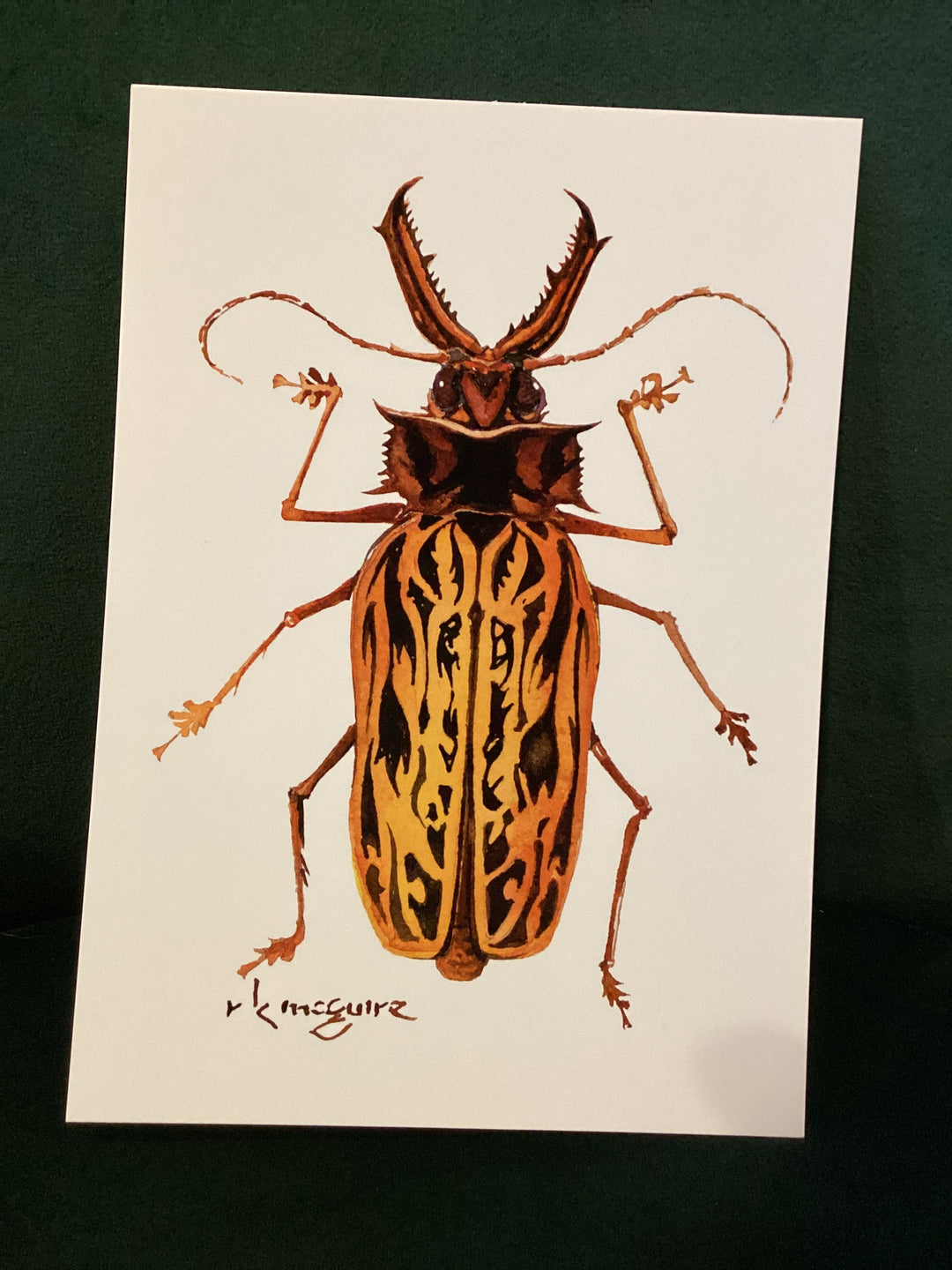 Keith McGuire Insect Prints (Small)